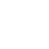 index-case-icon3