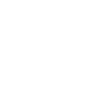 index-case-icon4